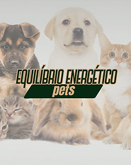 Equilíbrio Energético Pets.jpg