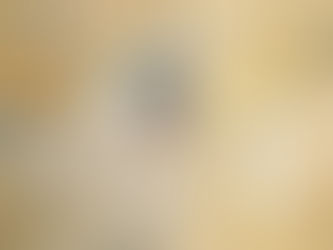 Harmonia Familiar: Como o campo de um membro afeta todos na casa?