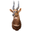 Thumbnail: Bushbuck Shoulder Mount