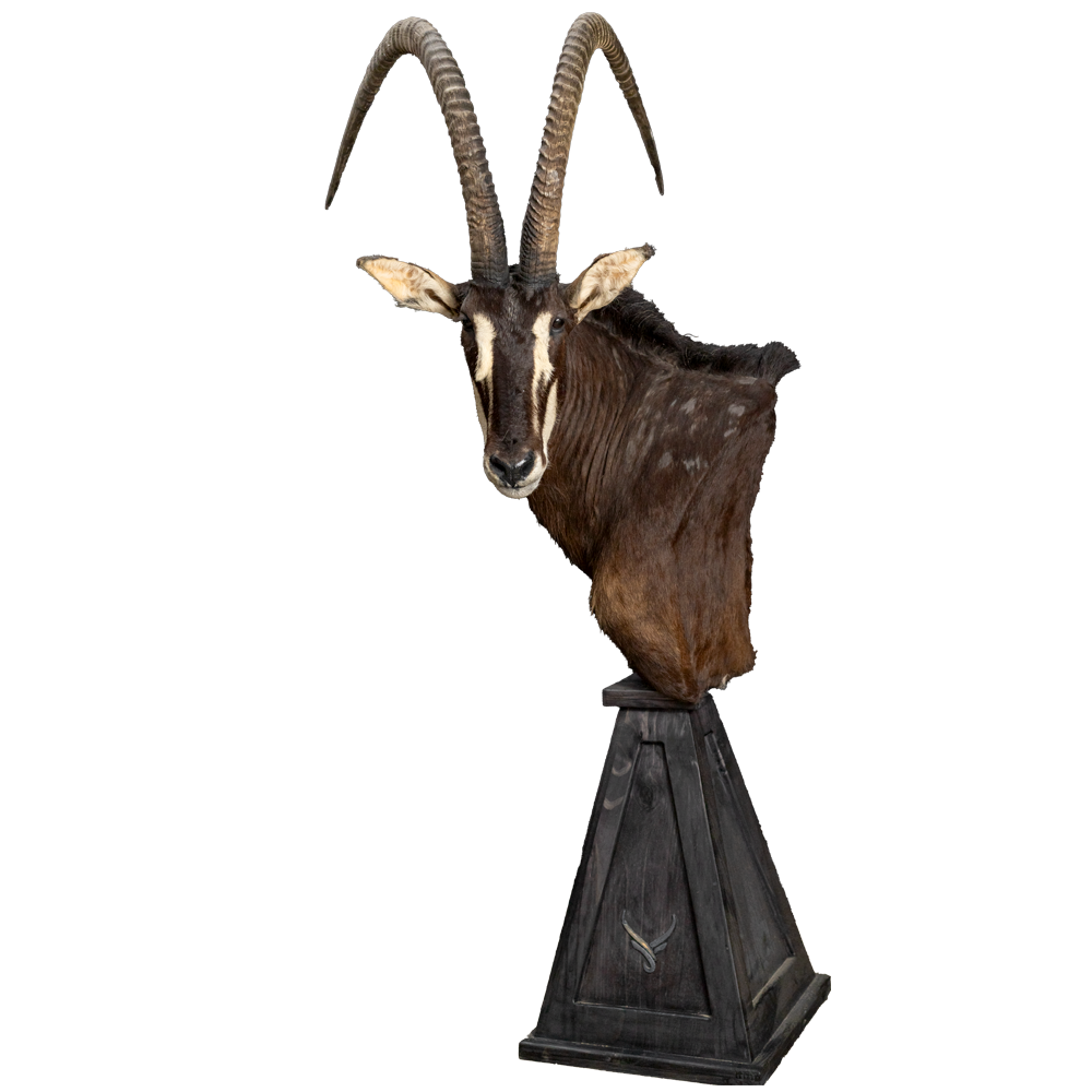 Sable Floor Pedestal Mount