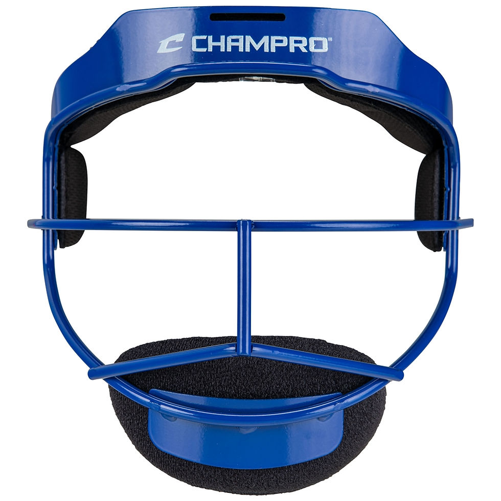 Thumbnail: Sentry Softball Fielder's Facemask