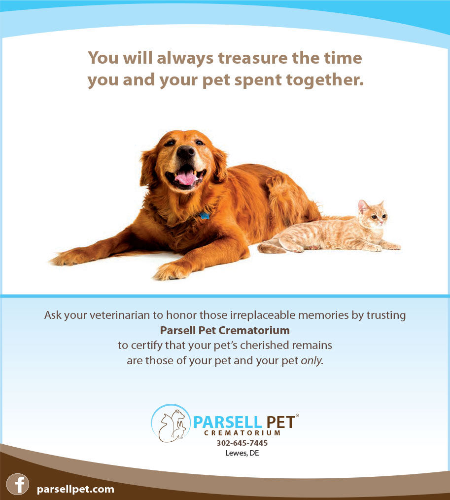 Print Ad - Parsell Pet