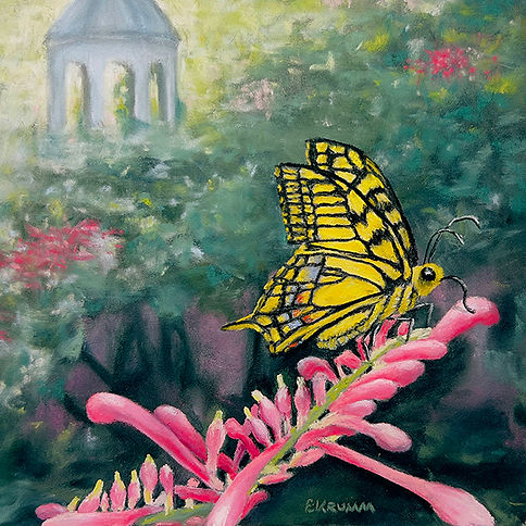 IMG_2723 Swallowtail Butterfly low res 5x5.jpg