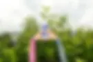 _DSC5365 Kopie.webp