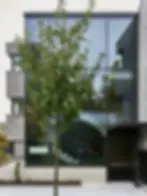 LW05_02.webp