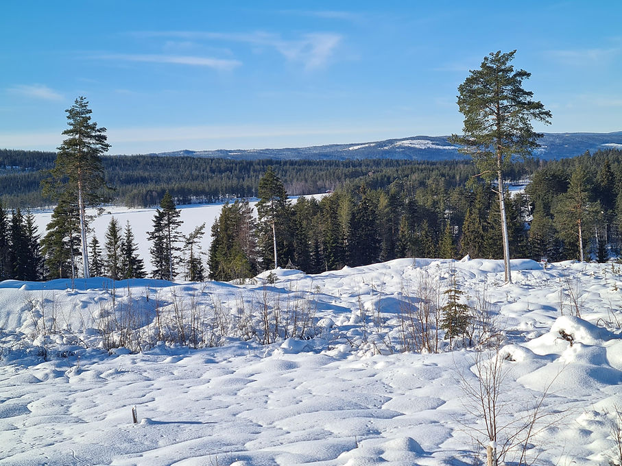 vinter2.jpg