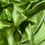 Thumbnail: Lime Green Satin