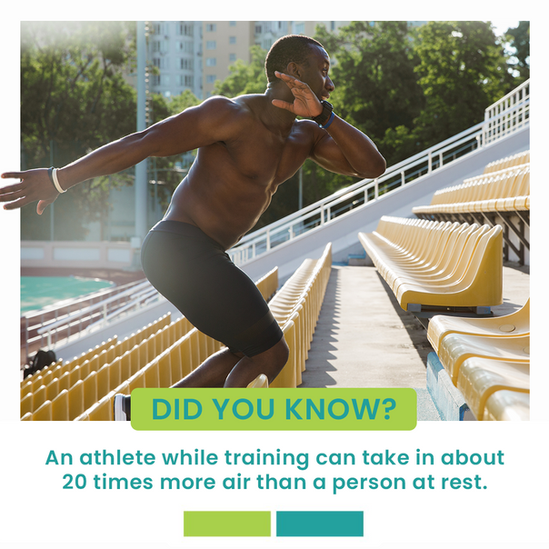 An Instagram graphic designed by Vanbrey Media for REACH GREEN with a "Did You Know?" fun fact about the connection between climate change and allergies