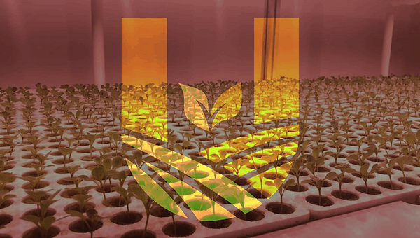 automated seeding system