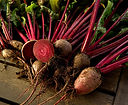 Fresh Beetroots