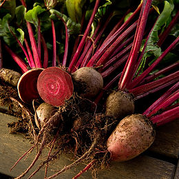 Beet Kvass
