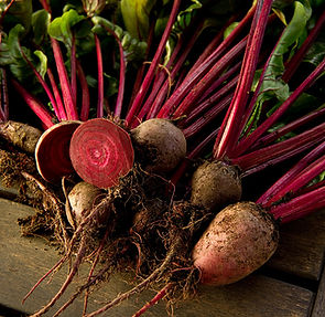Fresh Beets Display