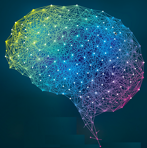 brain-network.png