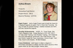 Joshua Bream
