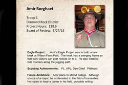 Amir Borghaei