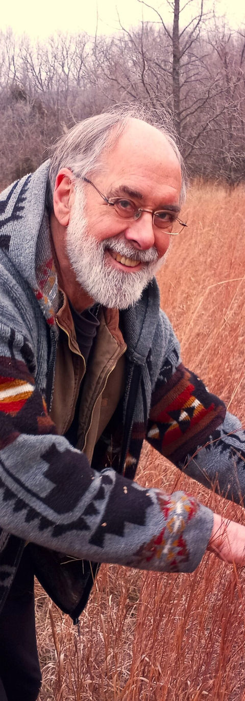 a man touches red reeds