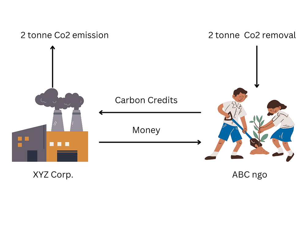 carbon offsetting example