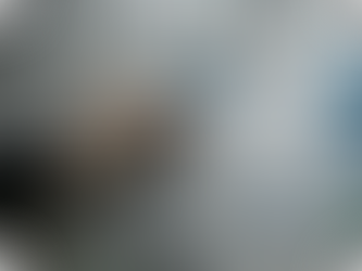 Bring your digital ideas to life with the BrightWolves’ Solution Design Factory