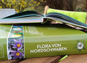 Flora von Nordschwaben