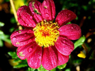 Autoestima x Encarar nossos Defeitos