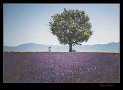 Photographe de Mariage a Marseille - Moussa Laribi