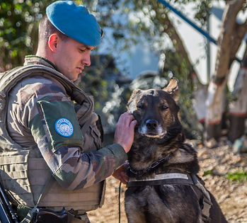 educateur canin la roche sur yon