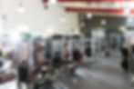 MUSCULATION