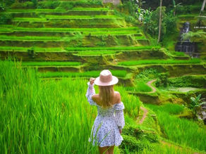 Ubud Highlight Tour