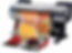 Wall Graphic|Sun shade|Trans lite Printer Services