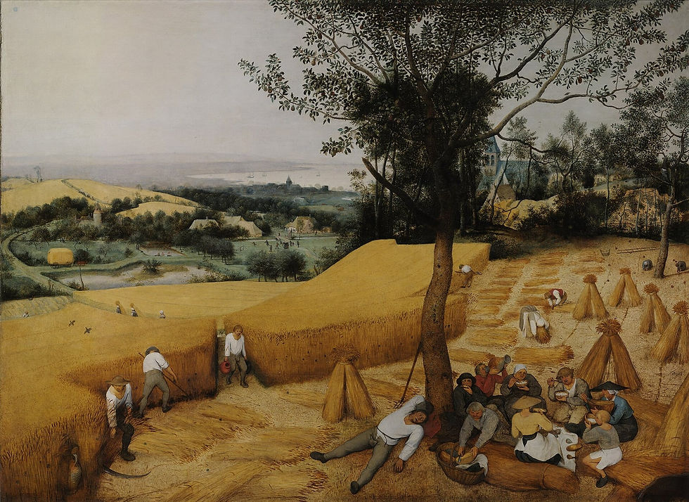 Pieter Bruegel the Elder, The Harvesters (1565), oil on panel, 119 x 162 cm. Bruegel's other great panoramic landscape.