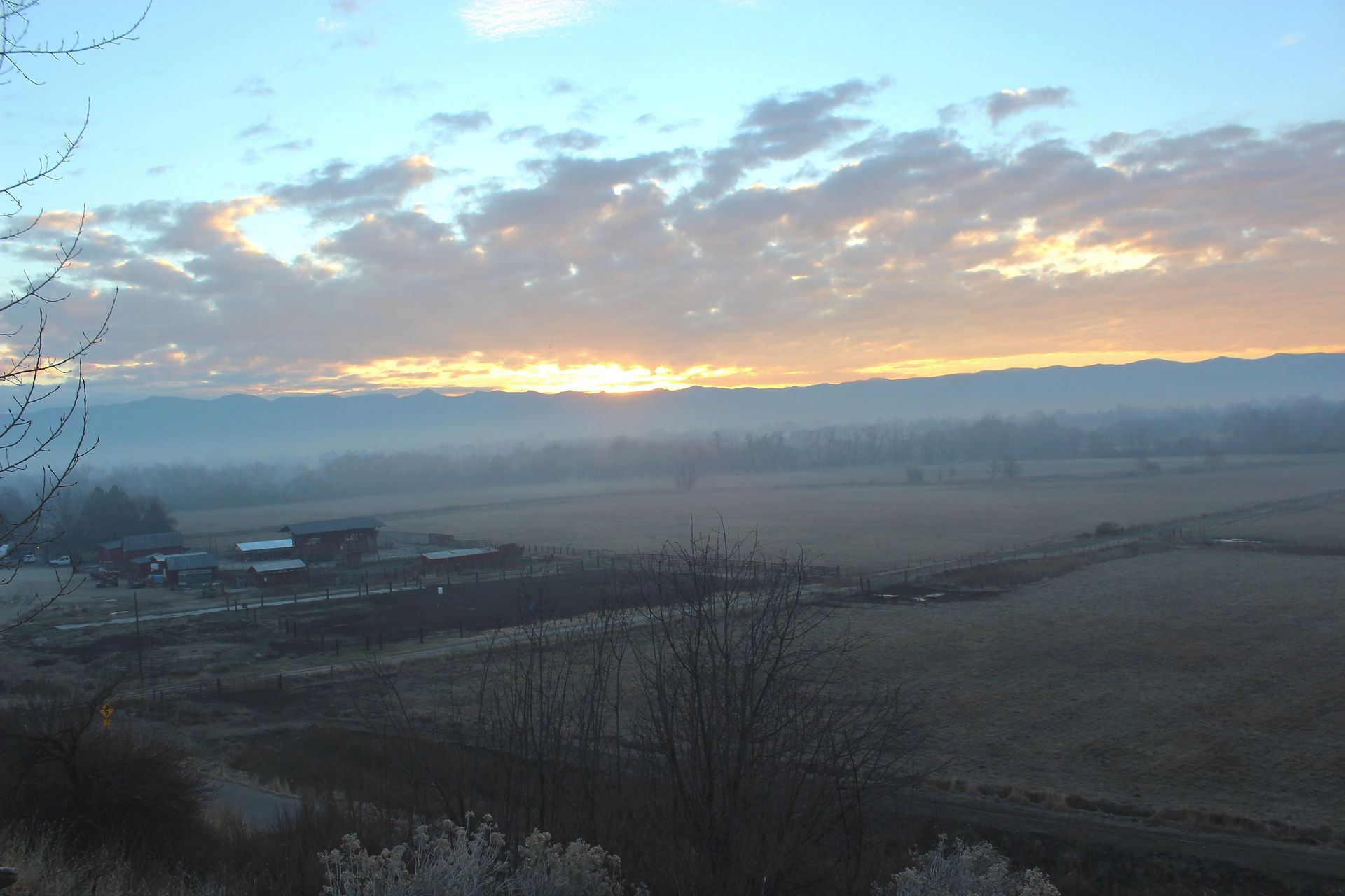 Horses Rising Sun Ranch Emmett