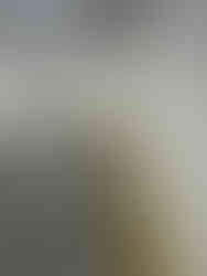 Industrial impact protection installation at Rosslare Europort