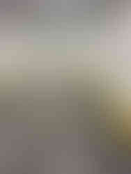 Facility Flooring and Polybar team fitting impact protection systems