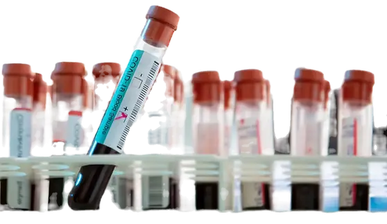 Medical Study Services