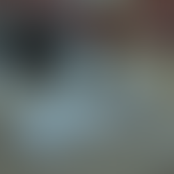 Un chien qui cherche avec sa truffe des friandises dans une serviette roulée