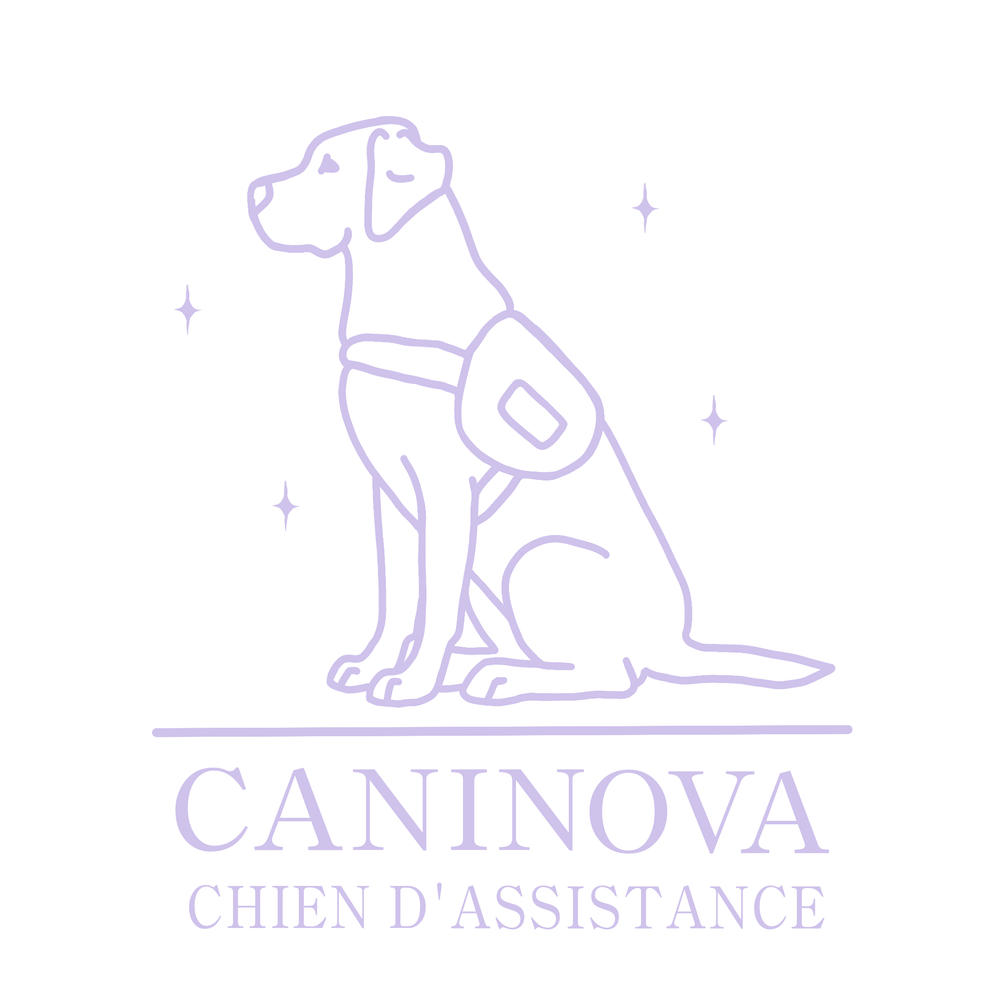logo 2 caninova.png
