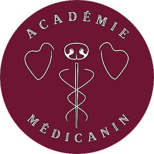Logo Académie MédiCanin bourgogne.png