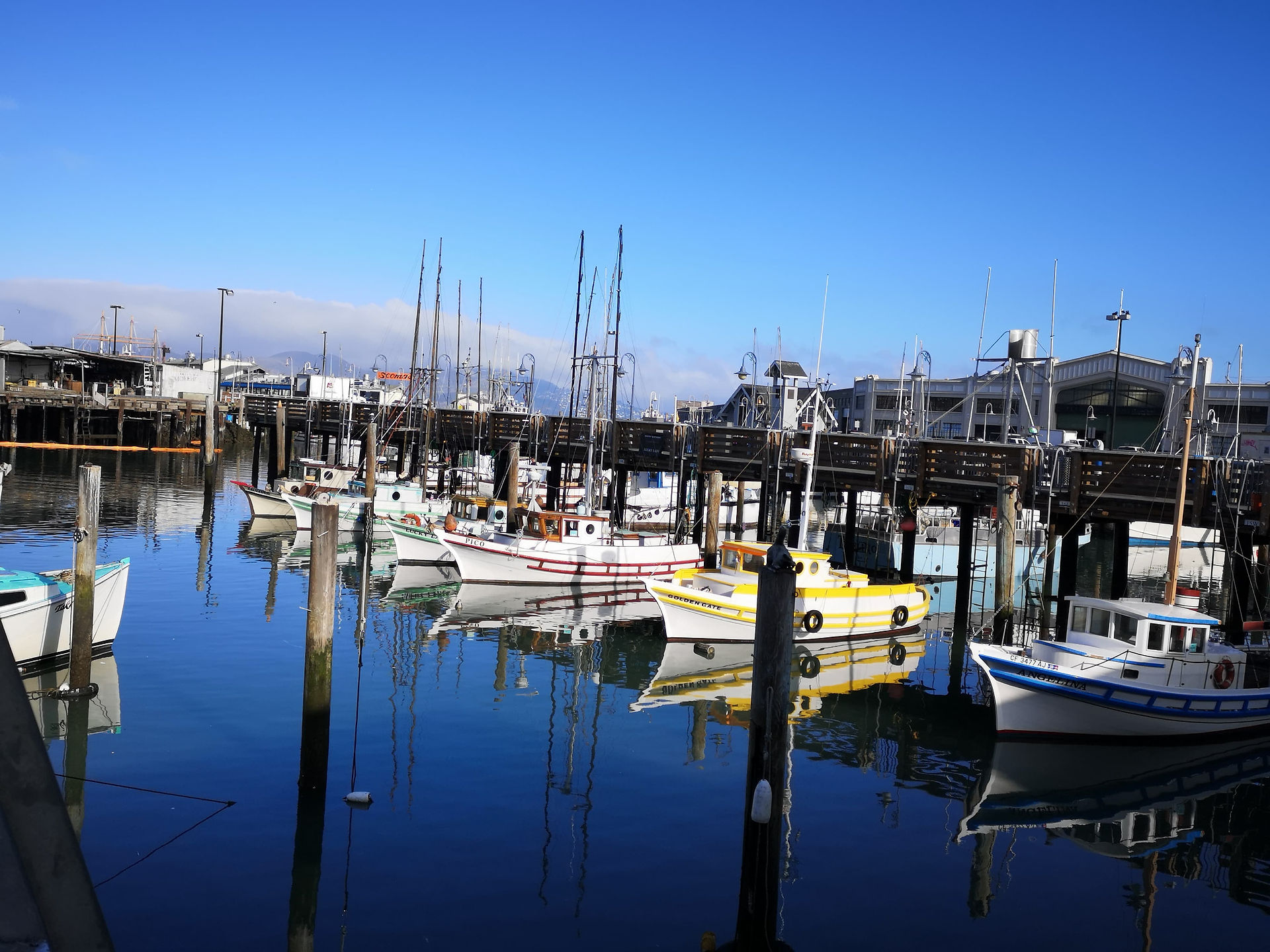 Fisherman's Wharf
