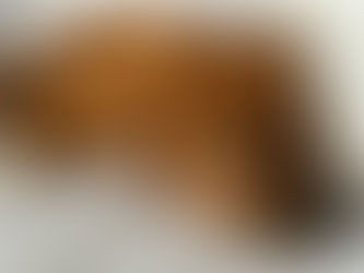 Cómo entender el comportamiento animal en perros con ansiedad o estrés