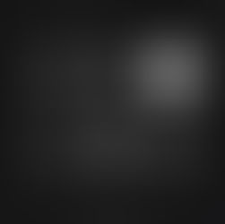 Day 55: An Open Letter