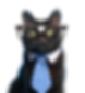 Untitled design (23).png