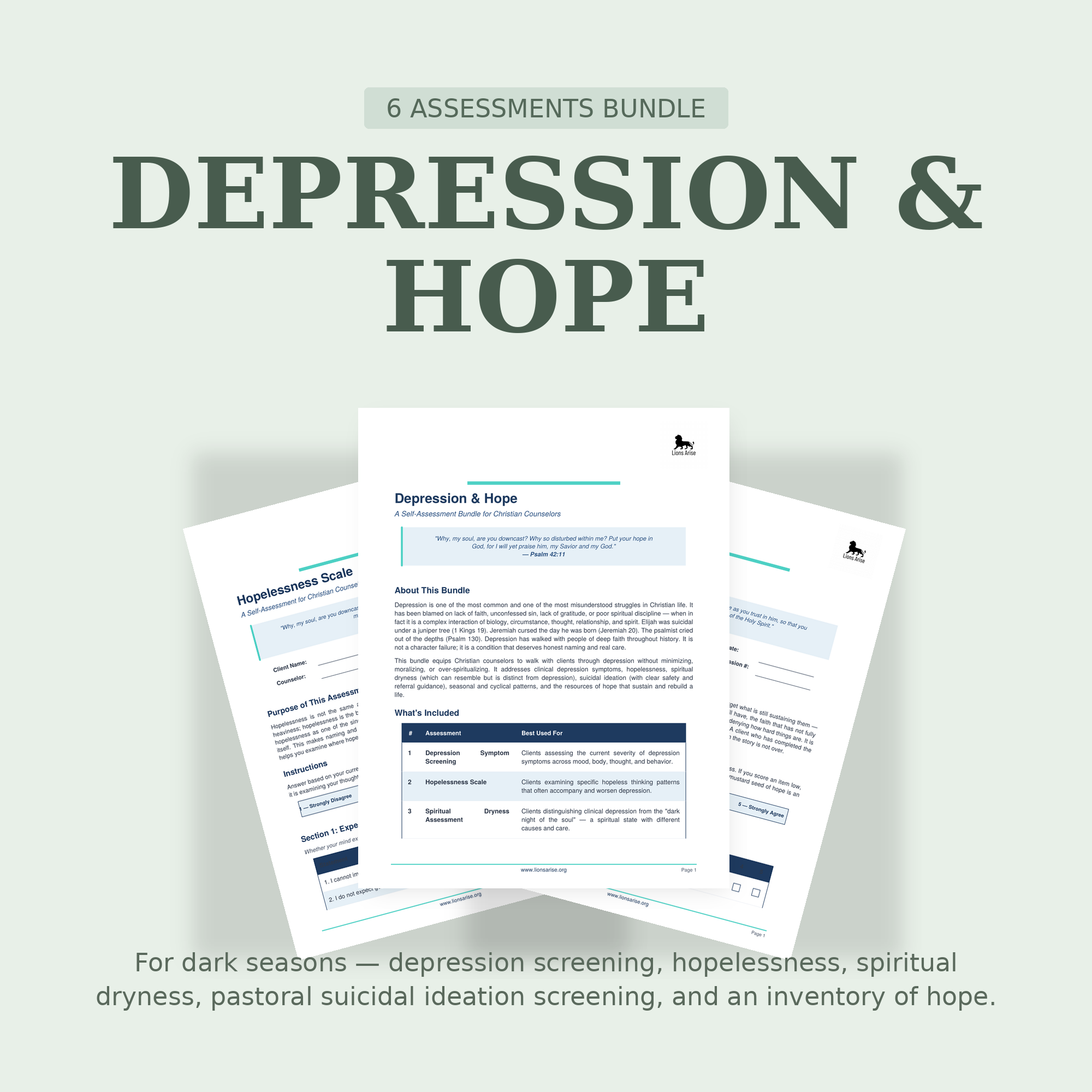 Depression and Hope Assessment Bundle