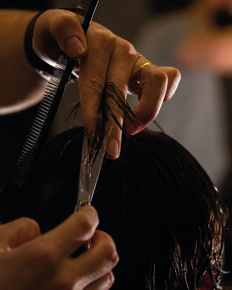 Barberiaa-05.jpg