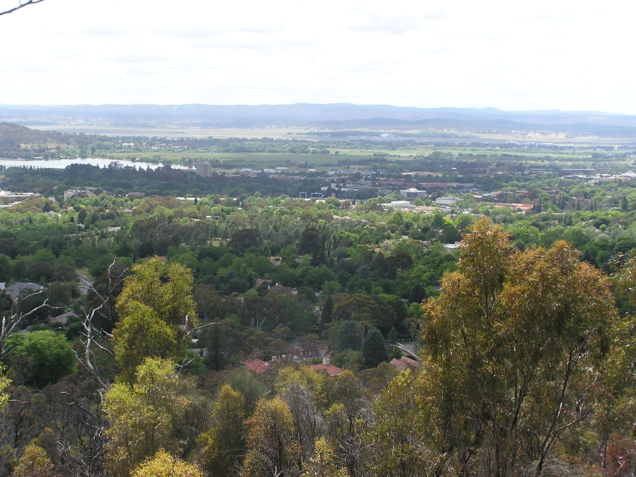 Colins Park - 2005