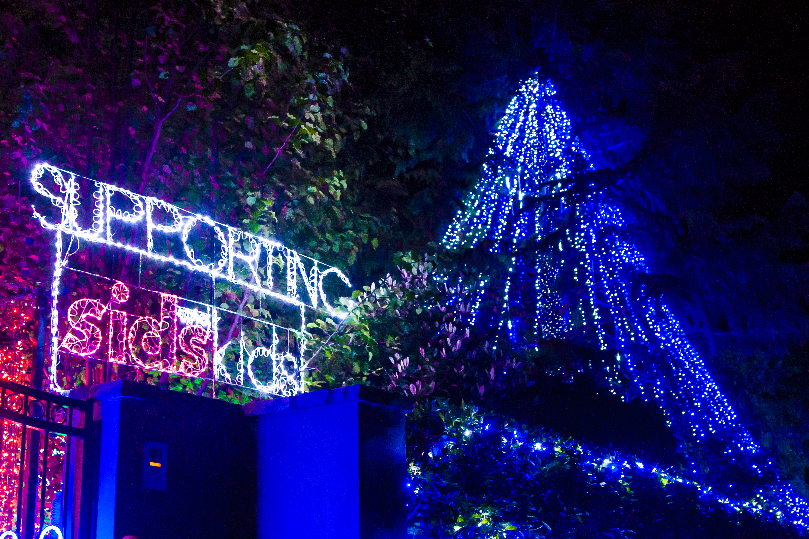 Forrest Christmas Lights - 2013