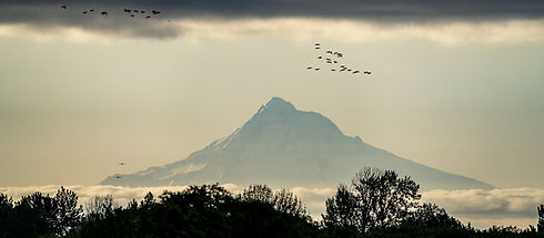 MtHood-03216.jpg