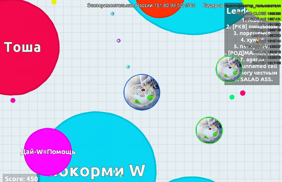 мод1.png