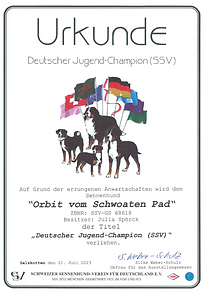 Deutscher Jugend-Champion (SSV)_HP.pdf.png