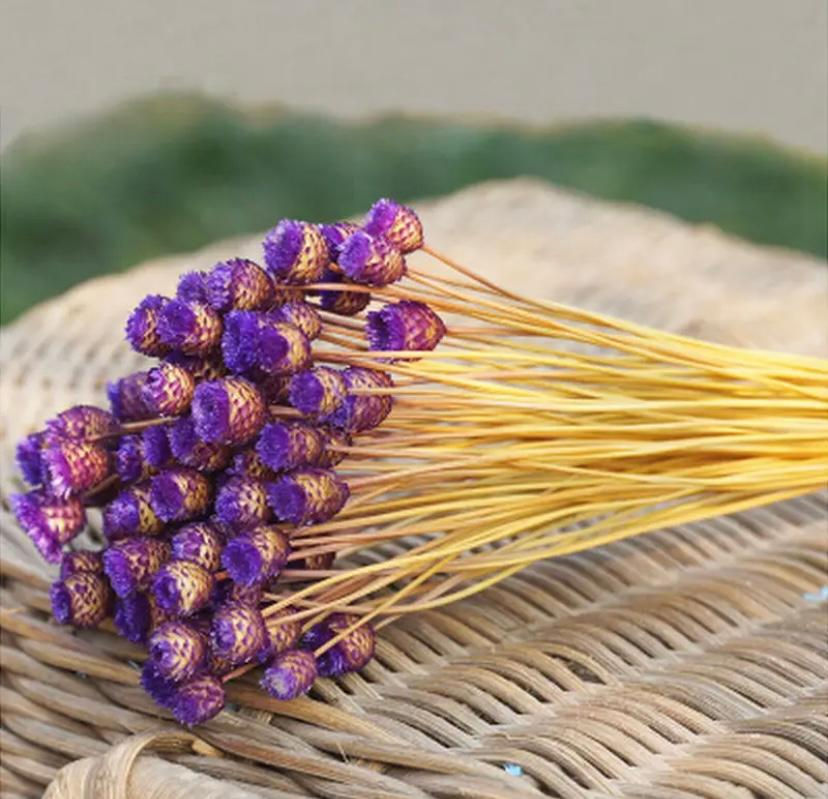 Miniatura: Ramillete de Flor Feliz