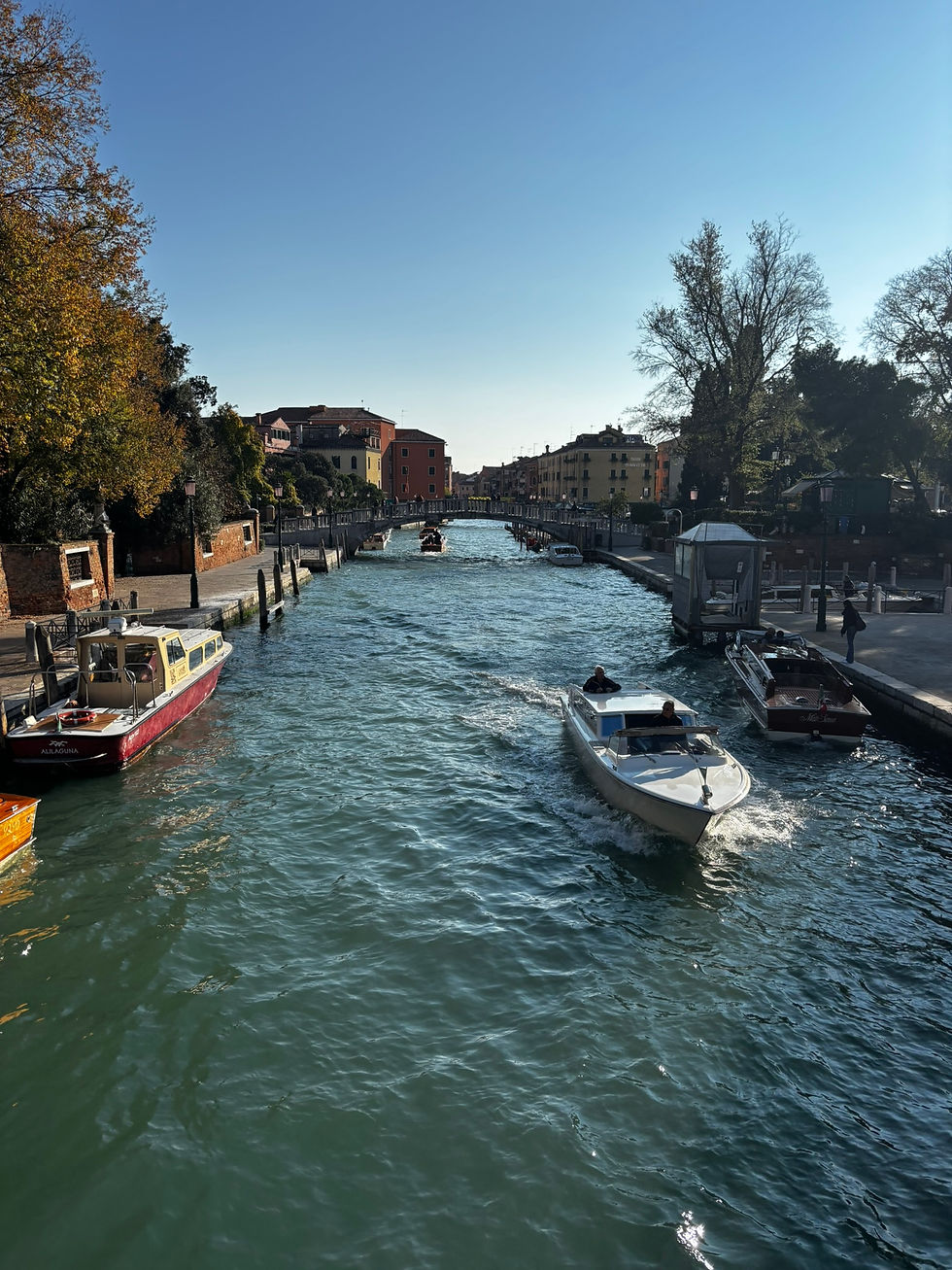 Photo by John Mercatante